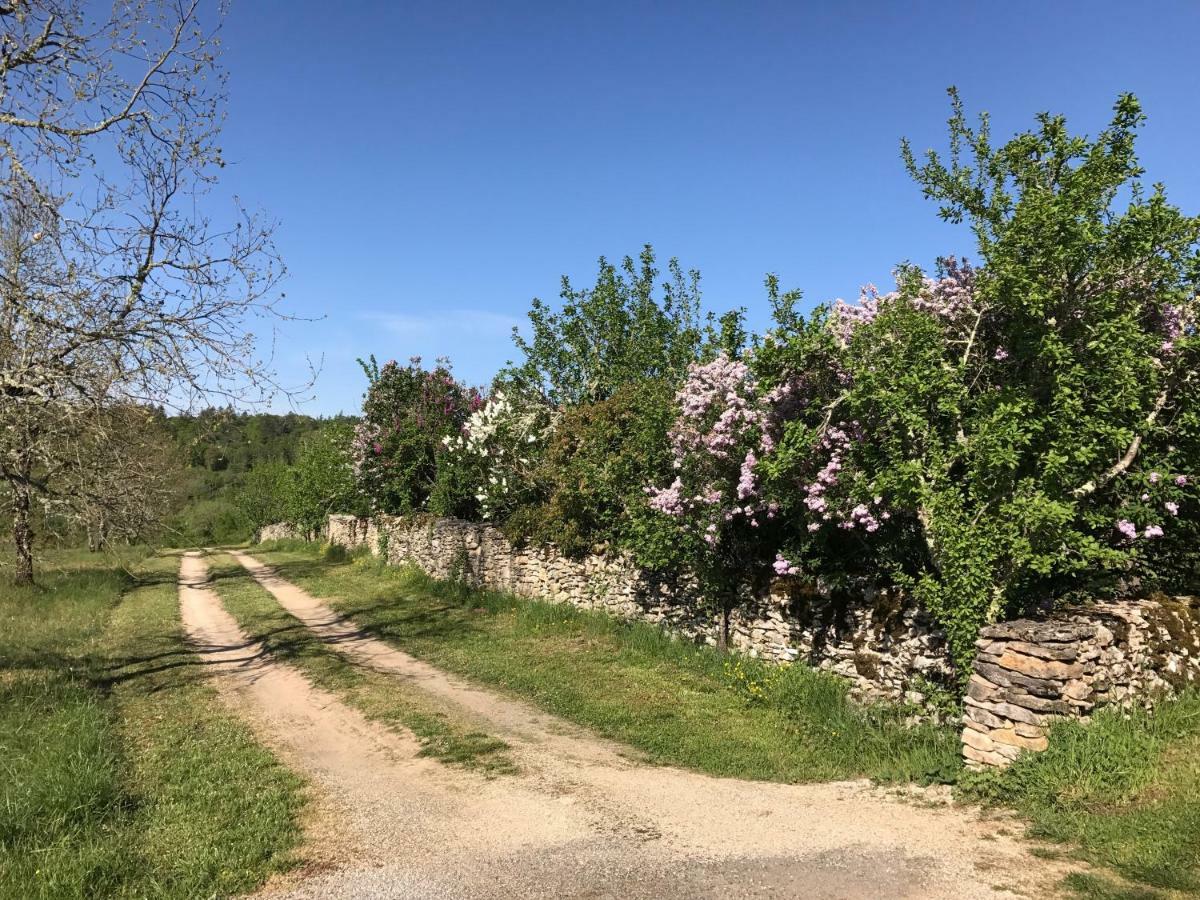 Chambres D'Hotes Pech Blanc Calvignac Exteriér fotografie